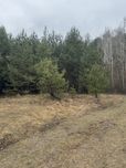 Продам ділянку під забудову впритул до лісу
