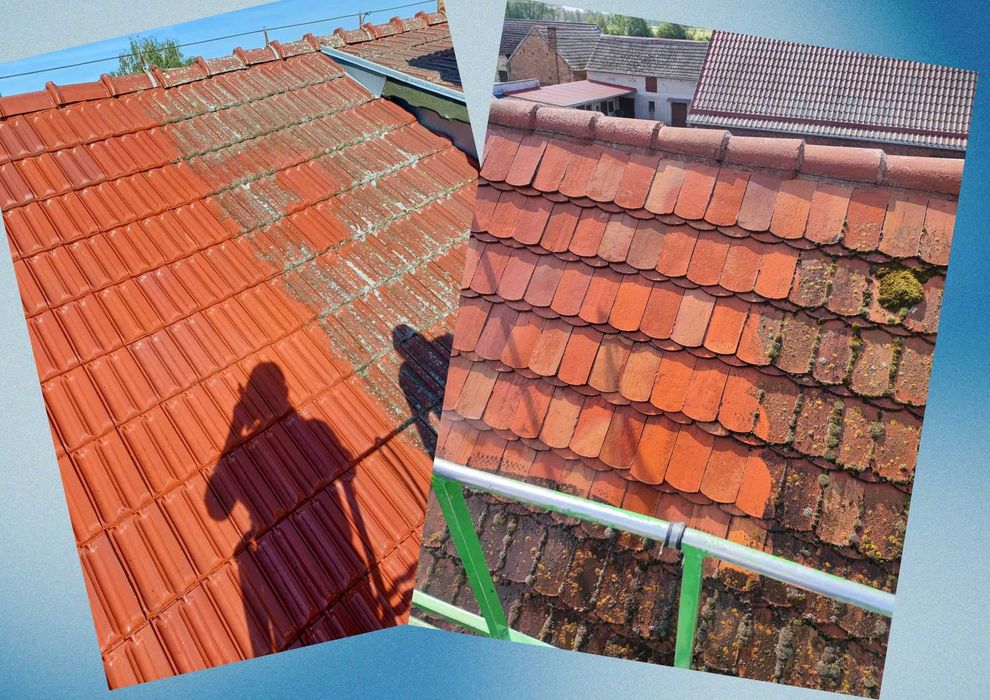 Podnośnik koszowy, wycinka drzew, usługi rębakiem, sprzątanie działek