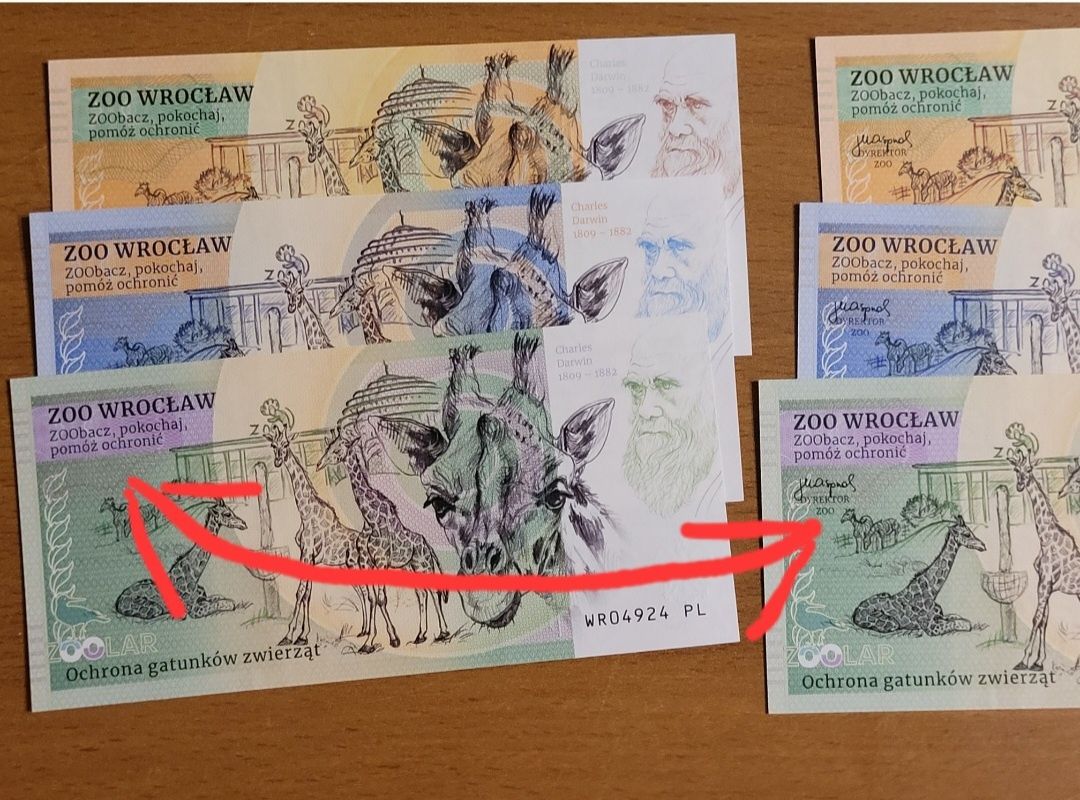 Banknoty kolekcjonerskie Zoo Wrocław ZOOLAR dwa różne warianty