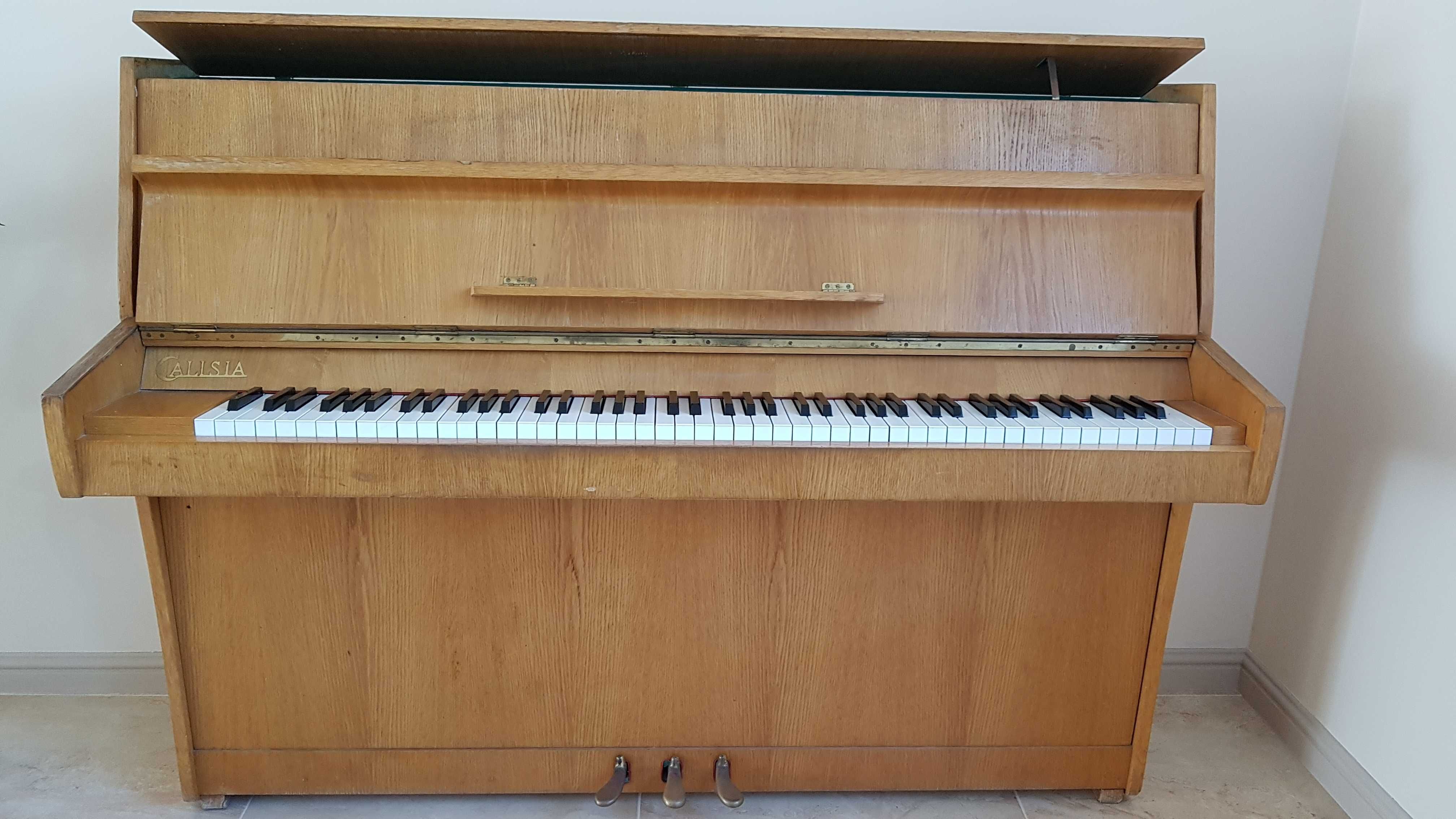 Pianino Calisia M-105