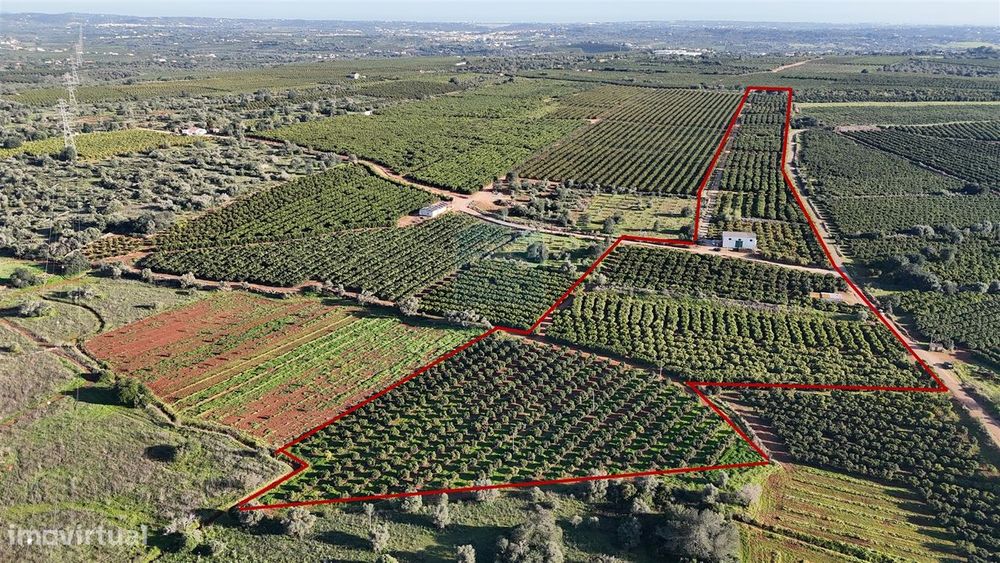 Terreno Rústico  Venda em Alcantarilha e Pêra,Silves
