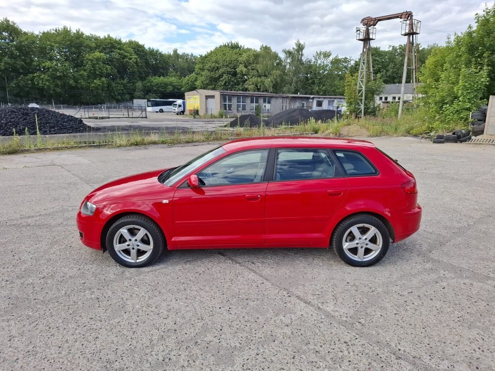 Audi A3 Sportback,1.6 MPI 102KM,5-Drzwi,Nowy Rozrząd,Xenon,Skóra z Nie