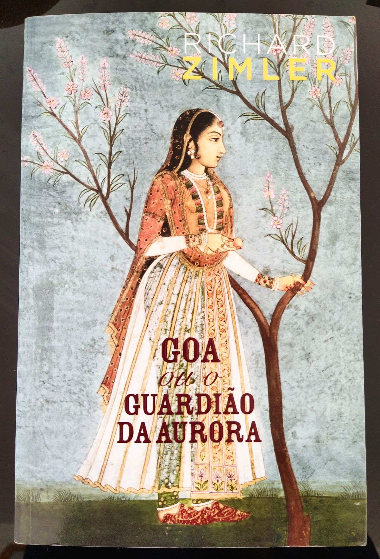 Livro Goa ou o Guardião da Aurora de Richard Zimler