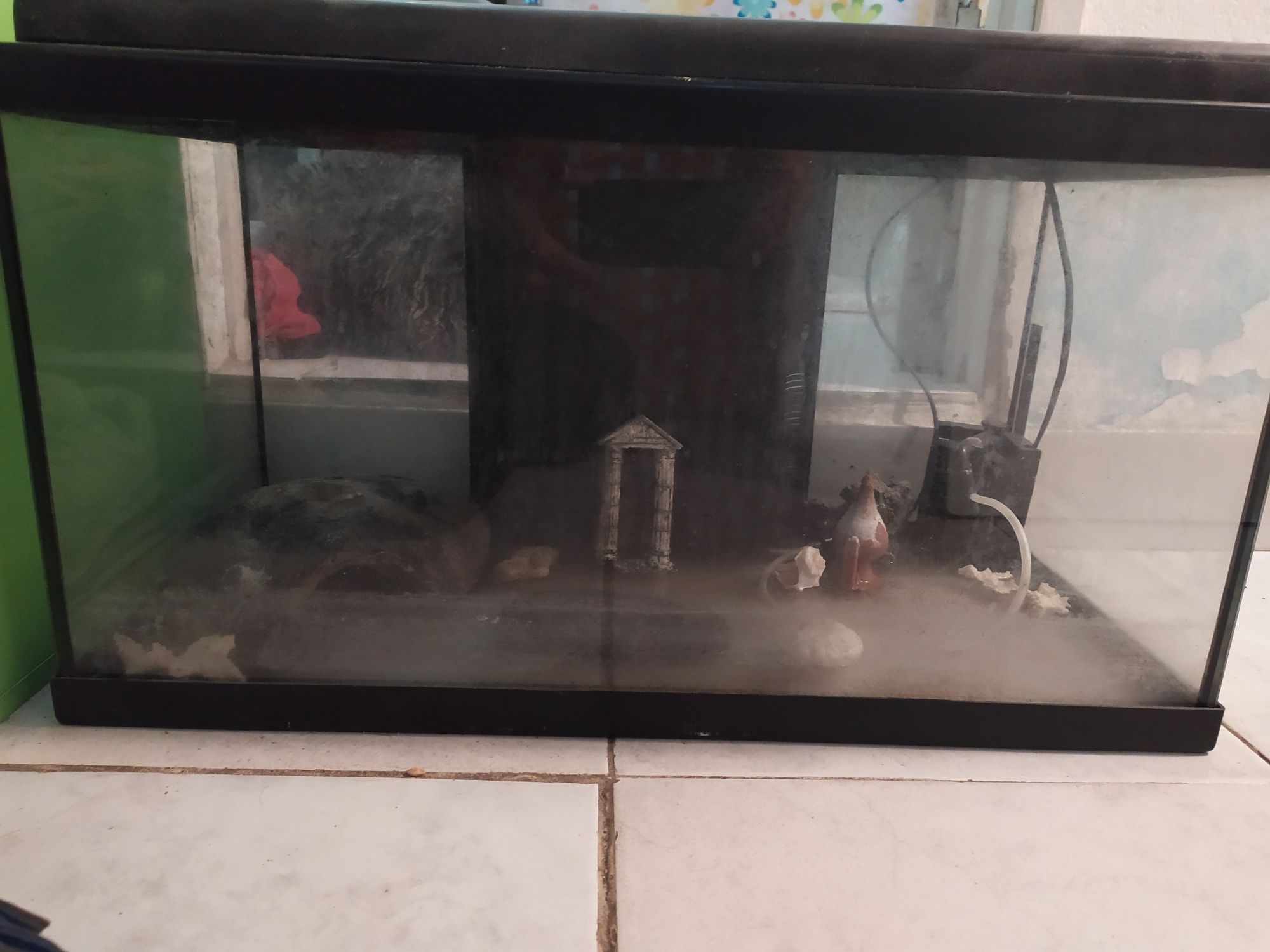 Aquário de 60 cm
