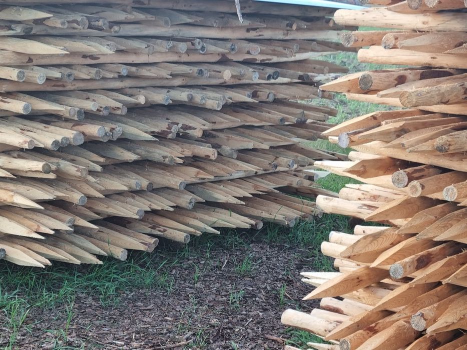 Sprzedam paliki do drzewek