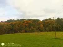 Sprzedam/Zamienię 7140m2 /Warunki zabudowy/Ładna działka