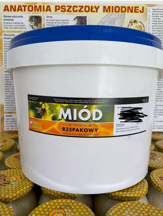 Miód rzepakowy w wiadrach 15kg