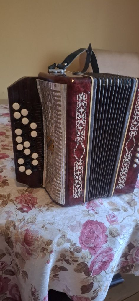 Akordeon dla dzieci Małysz