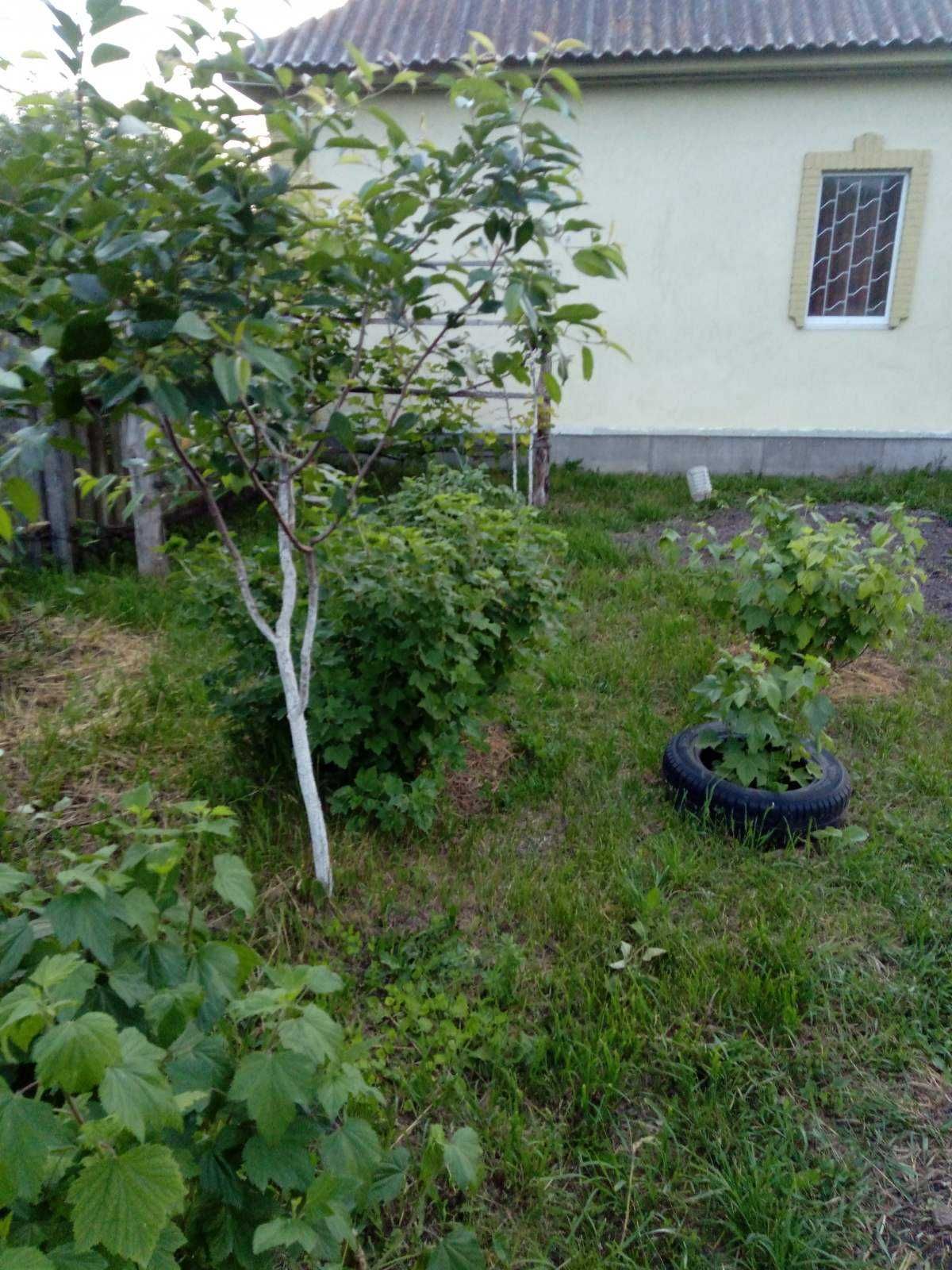 Будинок с.Кладьківка