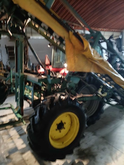 Colhedora para Alho francês