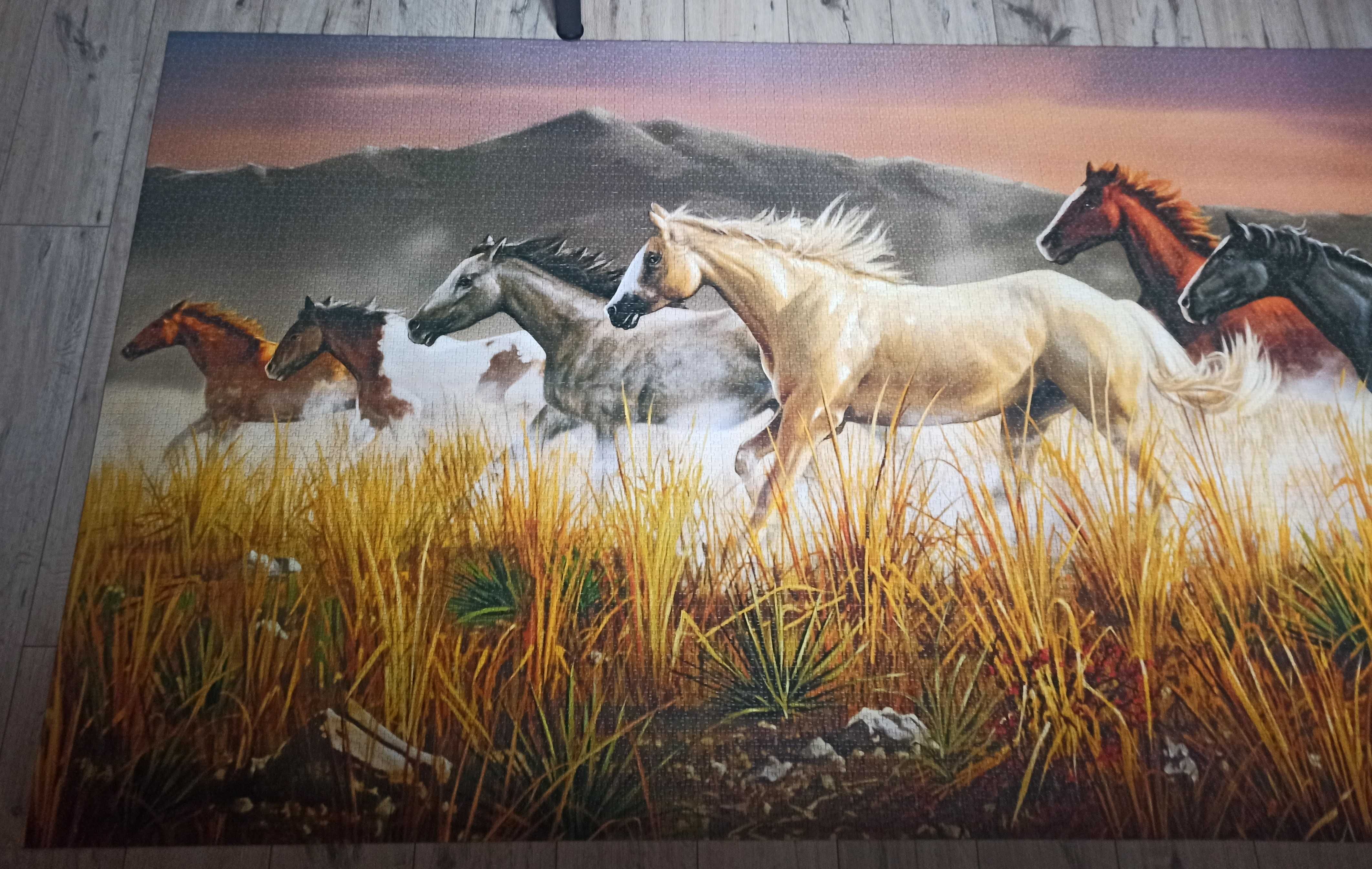 Puzzle 13200 Clementoni/Tabun Koni/ułożone/kompletne/obraz/prezent