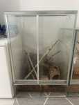 Terrarium 60x40x40 plus lampa i zarowki