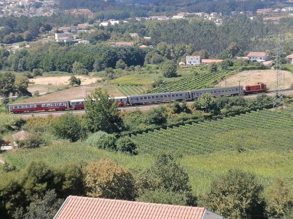 Terreno em Penafiel, Bustelo