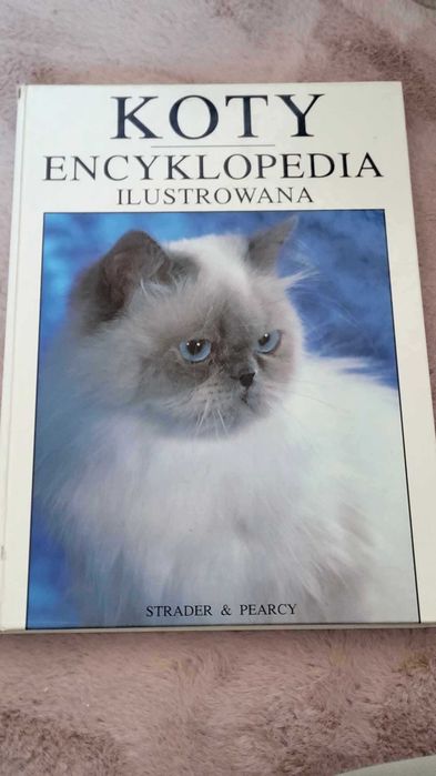 Koty Encyklopedia ilustrowana