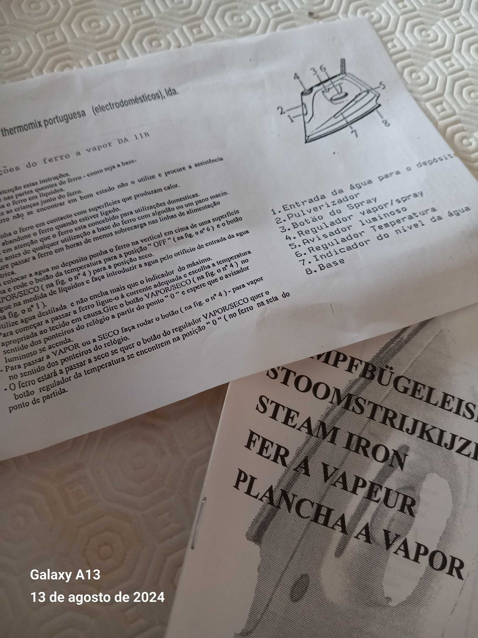 Ferro de passar a roupa