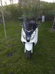 PEUGEOT Satelis 125 cm3