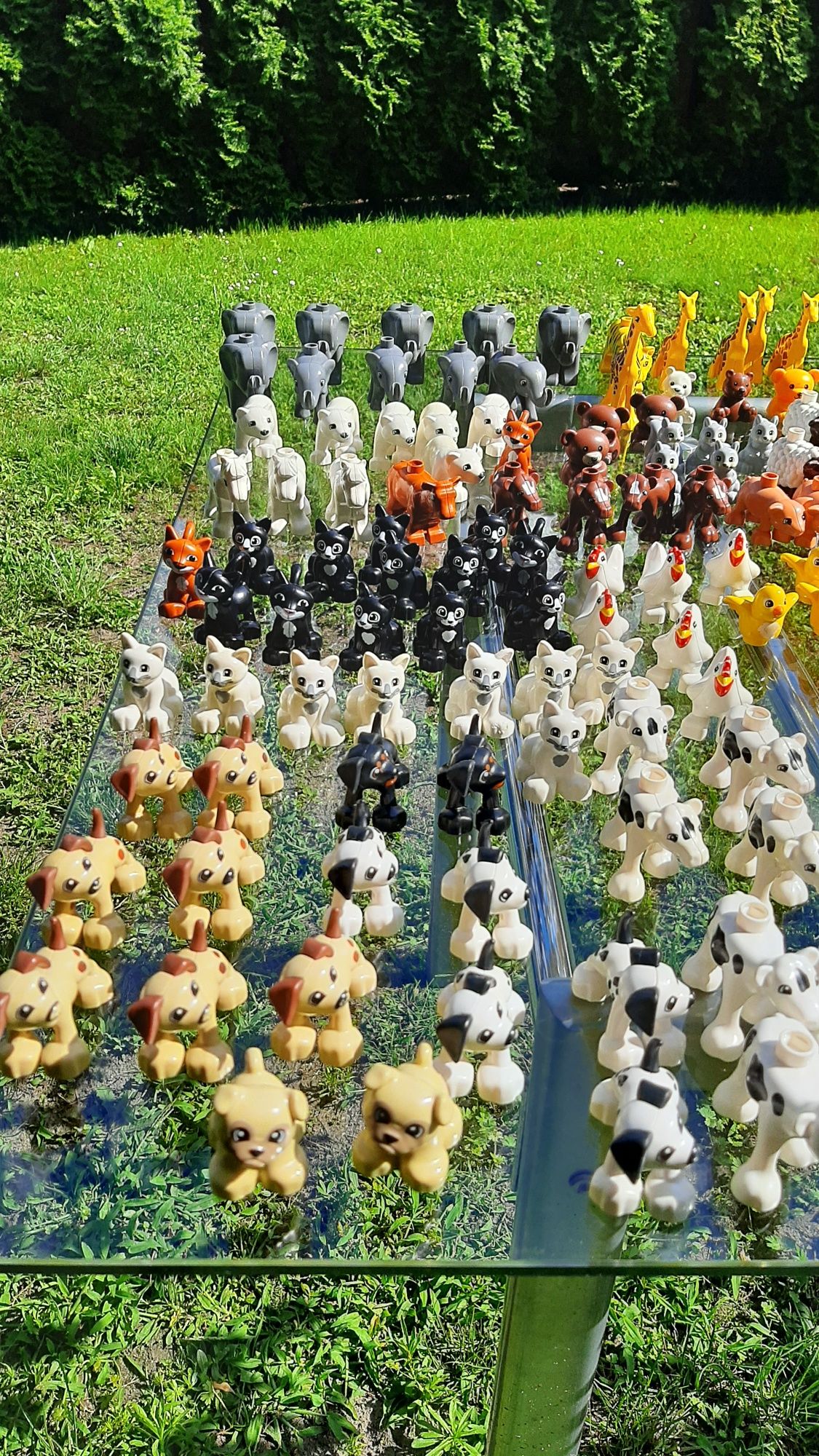 Ponad 200 zwierząt lego duplo