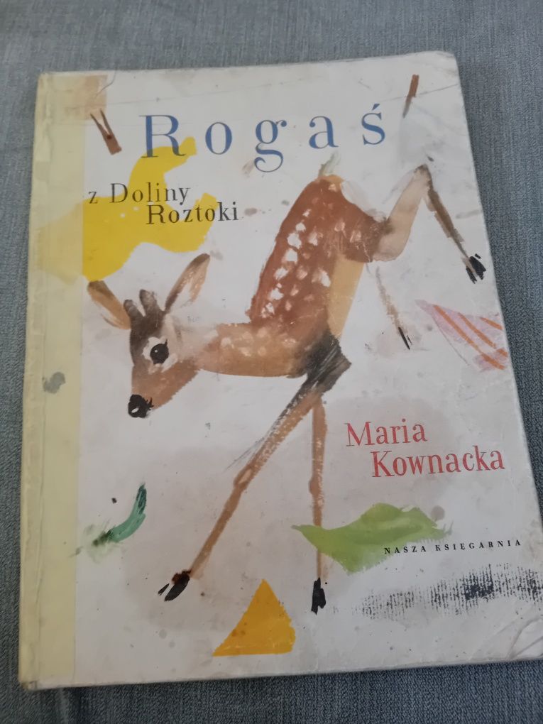 Maria Kownacka Rogaś z doliny Roztoki