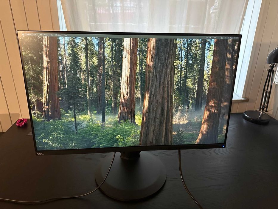 Monitor NEC MultiSync E273F – 27''