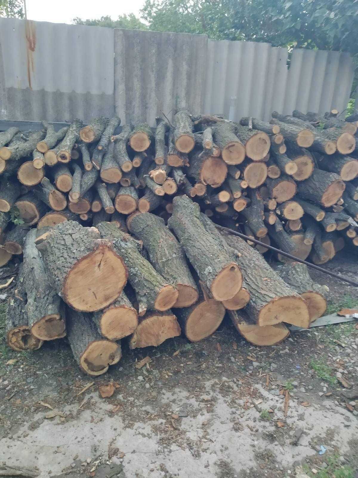 Продам дрова Акация