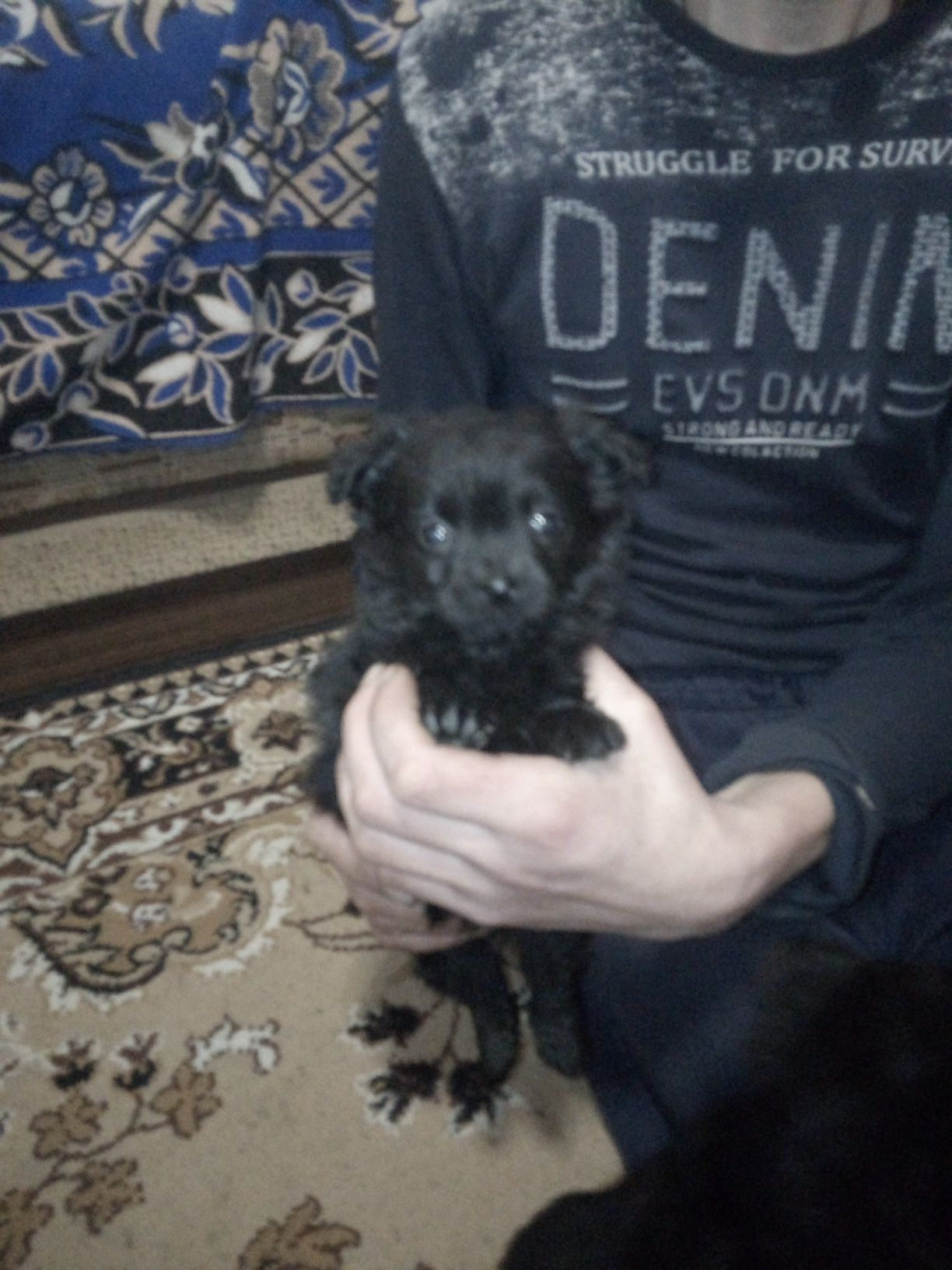 Возьмите себе домой это счастье.