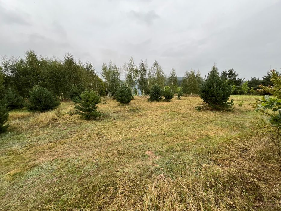 Działka 1451m2 ; cena 85 zł za metr działki nr: 41/6