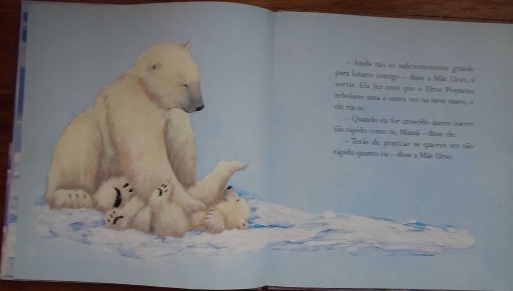Urso Grande Urso Pequeno (Um Livro Para Tocar e Sentir)
