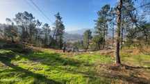 Terreno  para venda