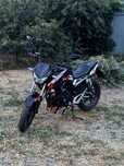Geon pantera 250