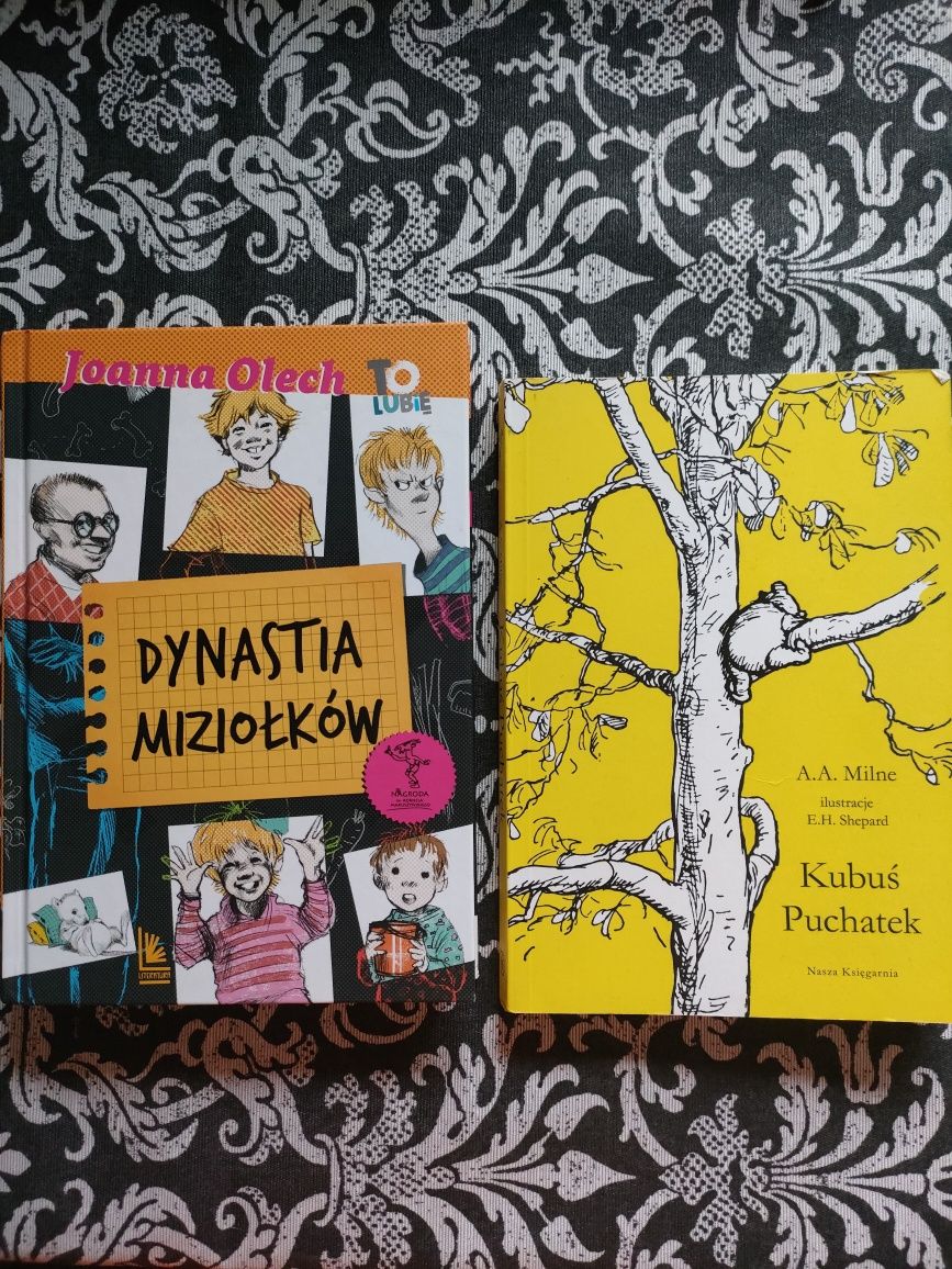 Lektura dla klasy 4