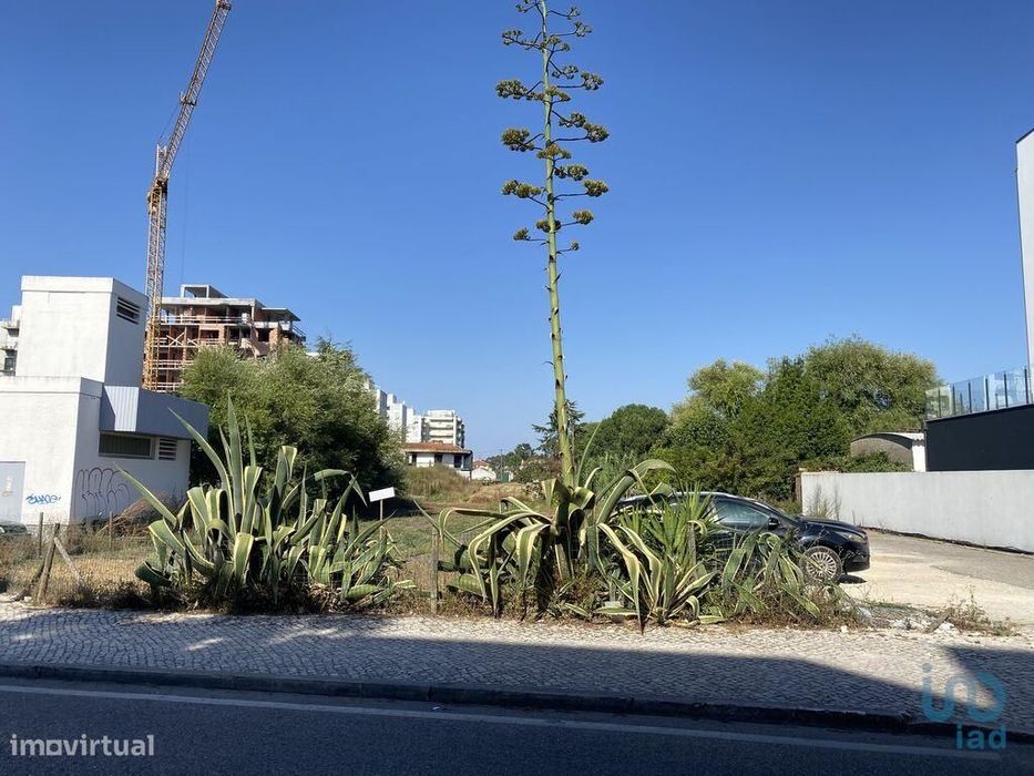 Terreno em Marinha Grande de 3798,00 m2