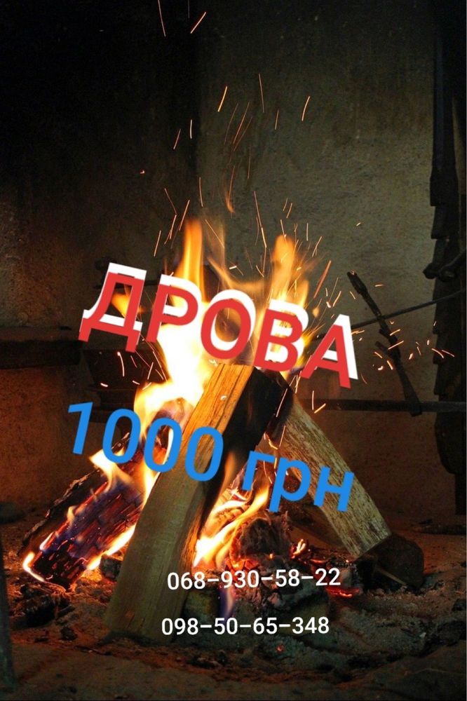 Дрова твёрдых и мягких пород от лесхоза по цене от 1000 грн