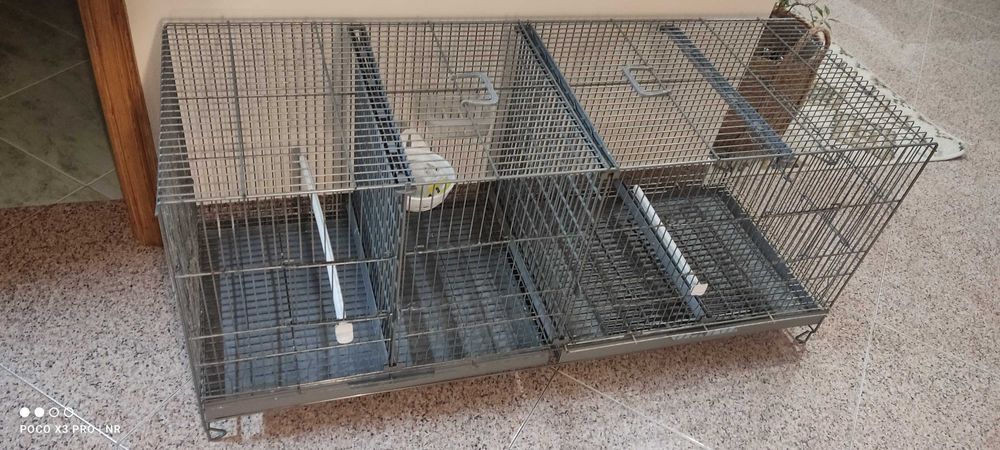 Gaiola voadeira pedros