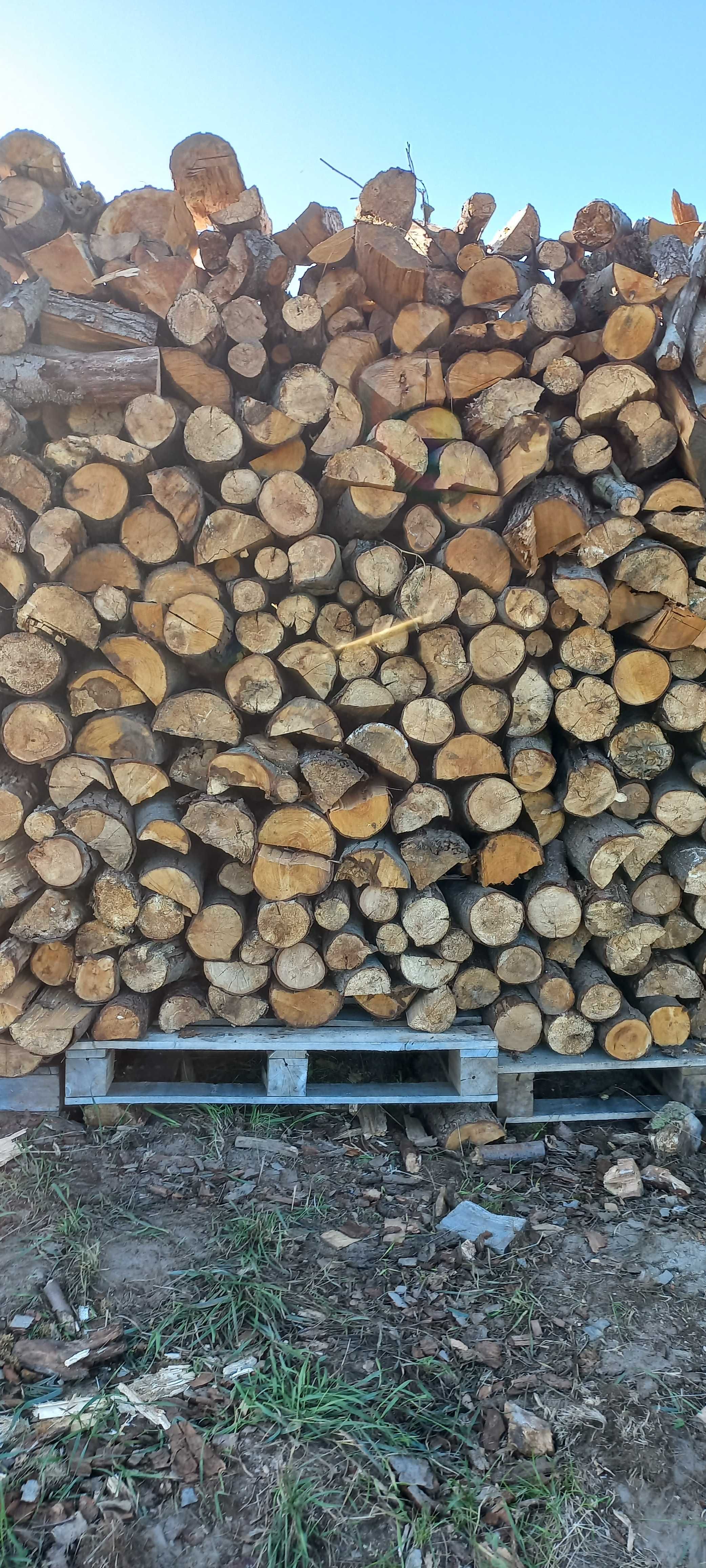 Drewno drzewo kominkowe-opałowe Trzebnica i okolice transport od 1mp