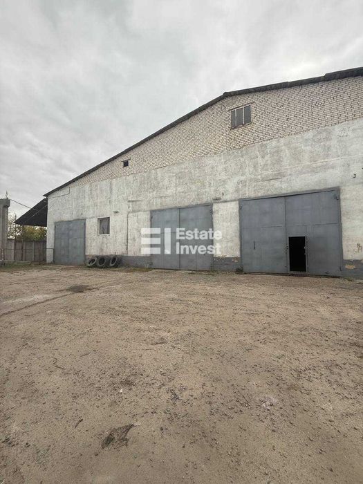 Здам овочебазу у с. Васищеве