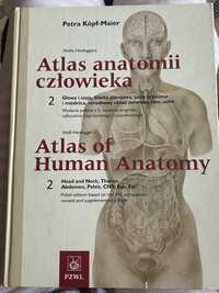 Petra Köpf-Maier Atlas anatomii czlowieka Tom 2