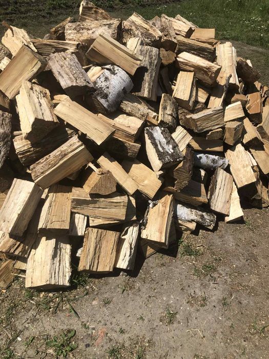 Drzewo brzoza, sosna, I mieszanka liściastego dąb czeremcha akacja