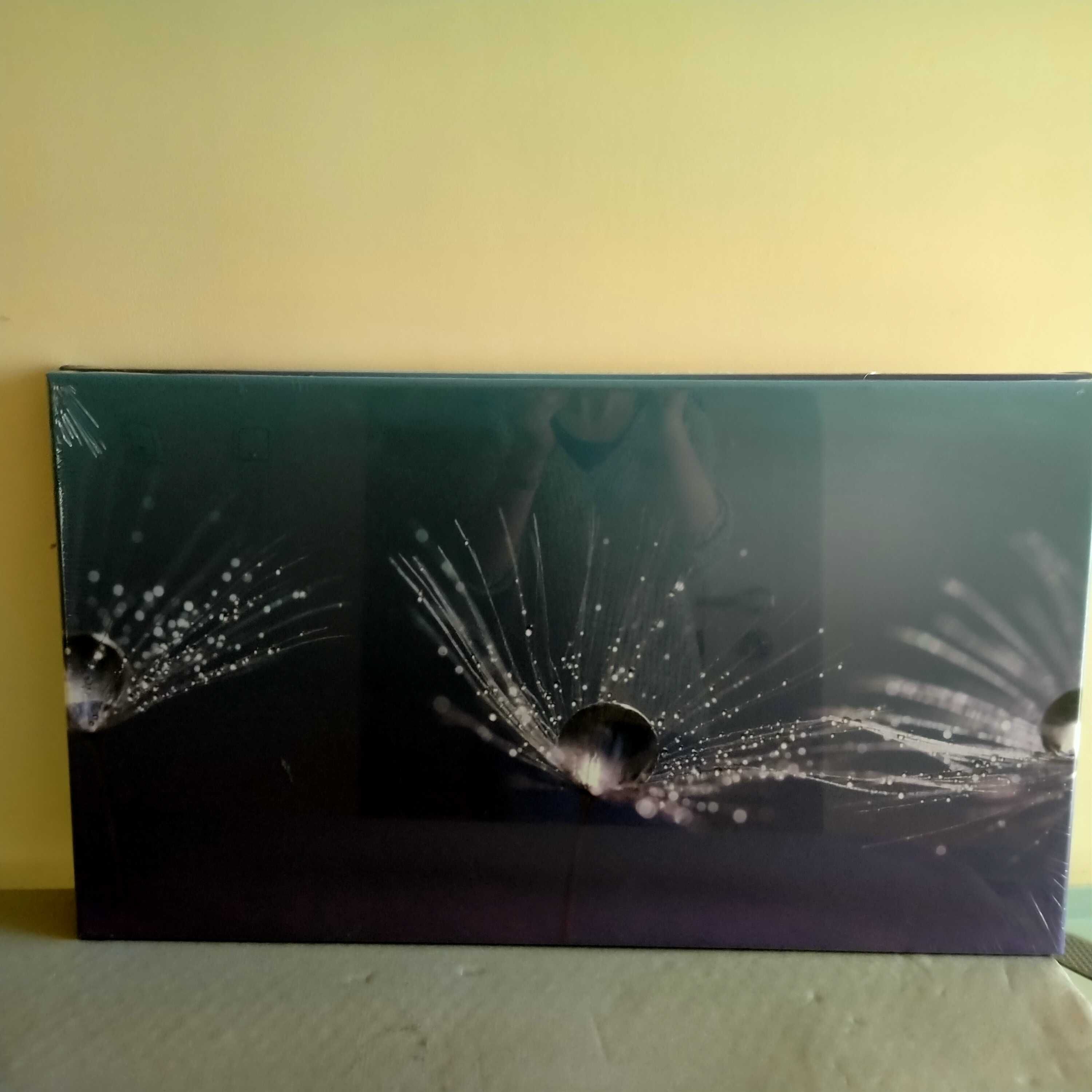 Obrazy na płótnie, rozmiar 69/40 cm