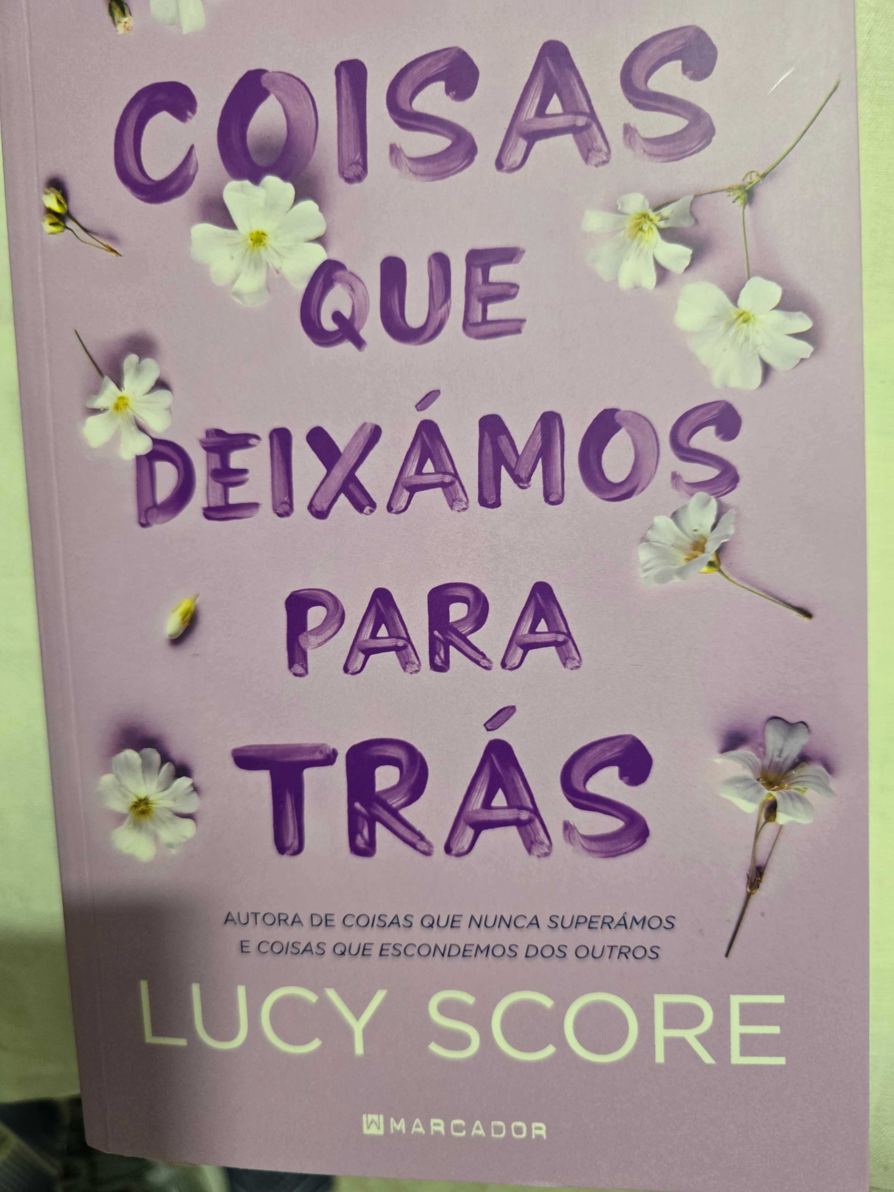 Livro de Lucy Score Coisas que deixamos para Trás