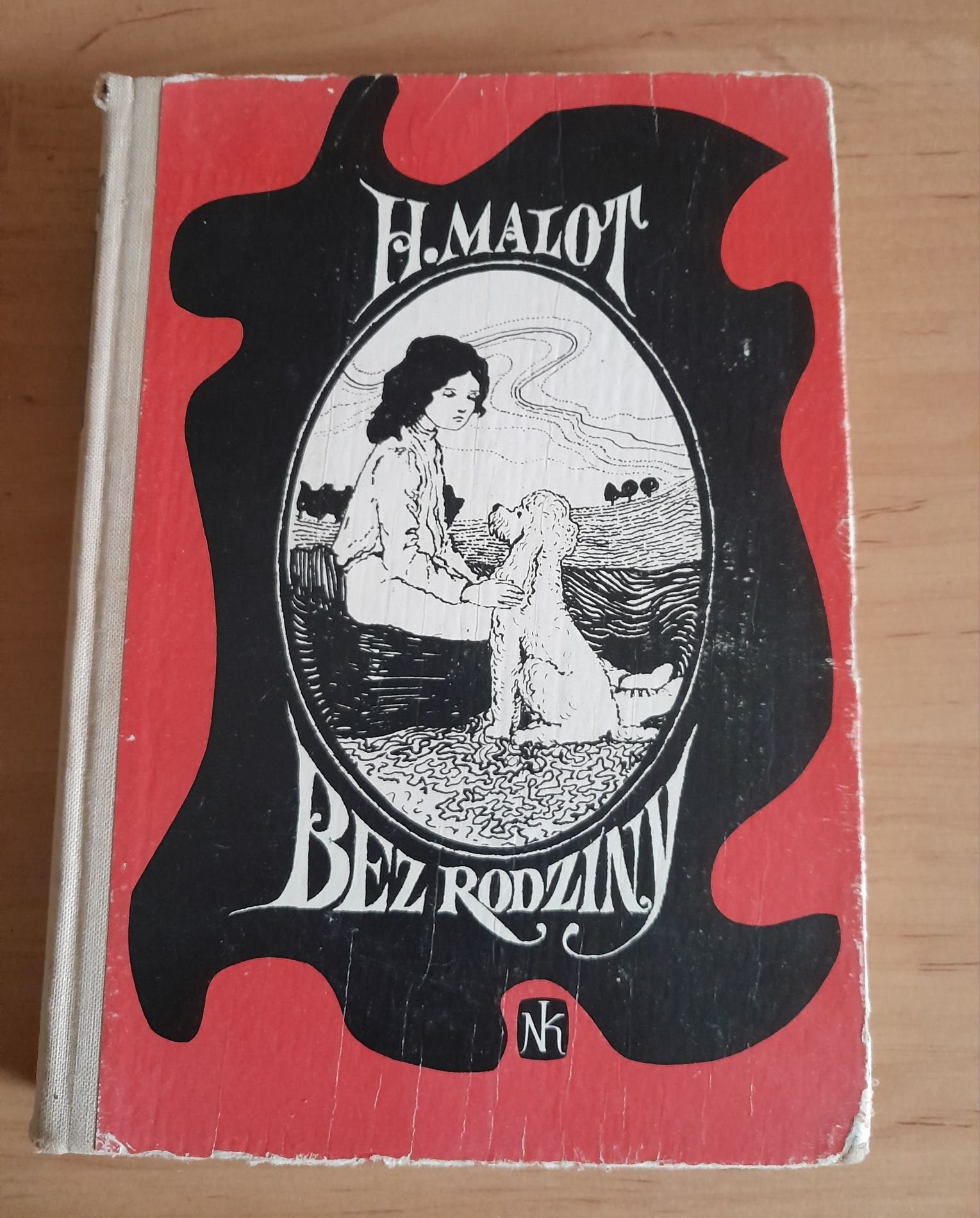 Powieść " Bez rodziny" H.Malot