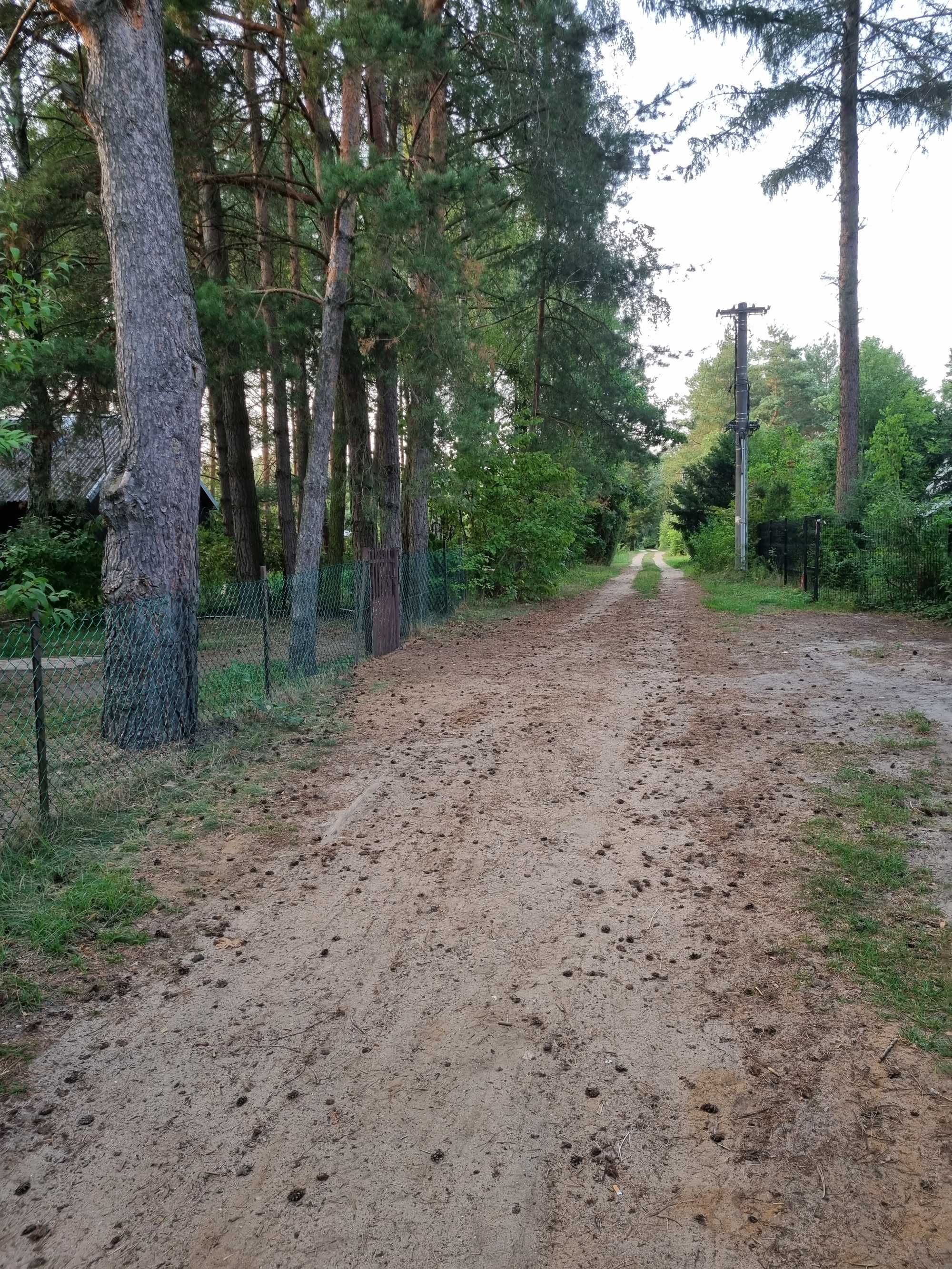 Wakacyjne noce las i widok gwiazd. Modrzewiowy domek nad Wkrą zaprasza