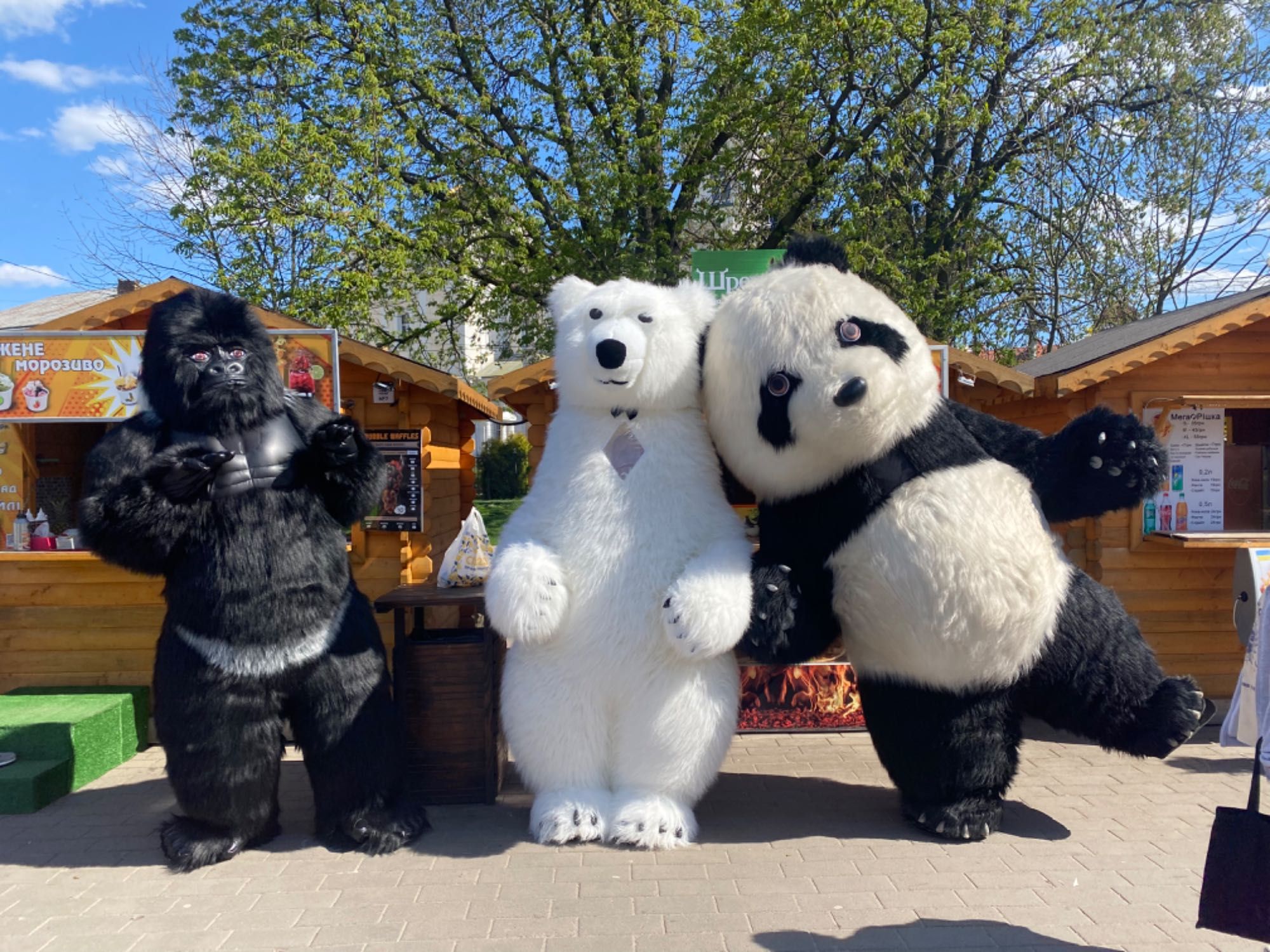 Білий ведмідь , велика горила , панда , ростові ляльки Луцьк