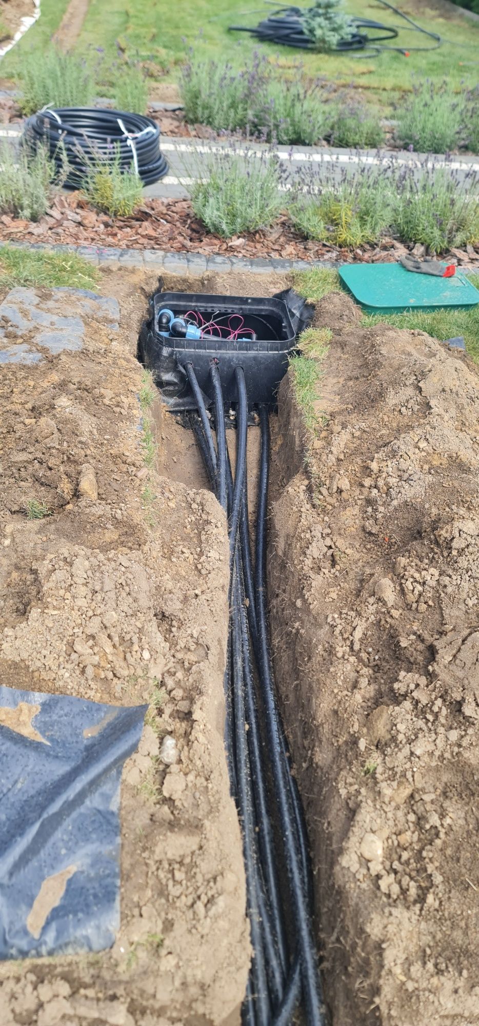 Systemy nawadniania,zakładanie trawnika,projekty ogrodu,wolny termin!!