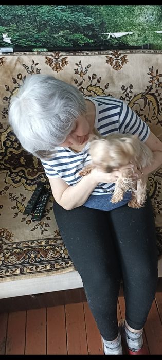 Нужен корм для животных