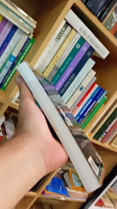 O Erro de Descartes: Emoção, razão e cérebro humano-António R. Damásio