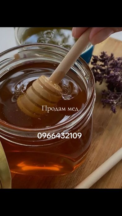 Продам мед лісовий.