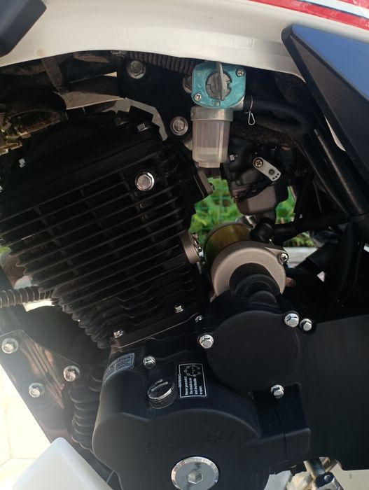 Geon pantera 250 (2024 року)