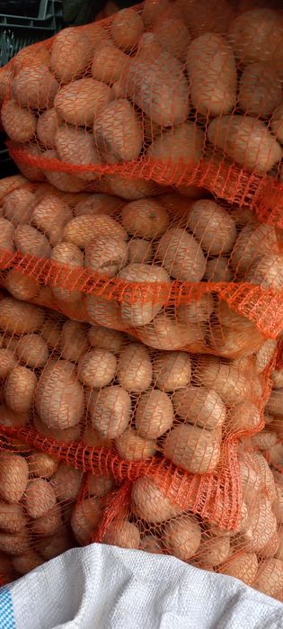 Sprzedam ziemniaki jadalne