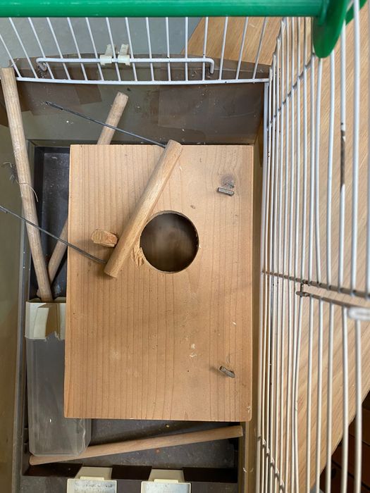 Duża klatka dla ptaków z wyposażeniem