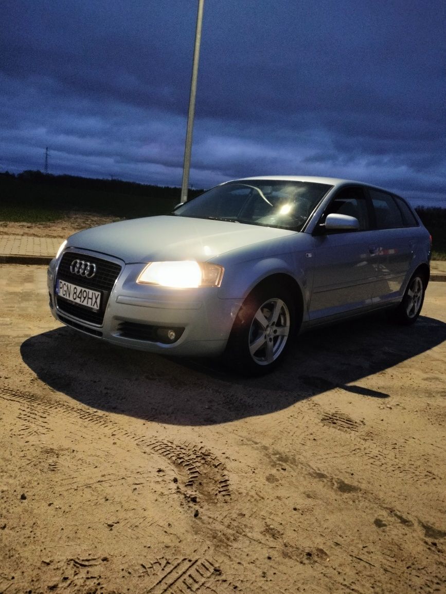 Audi A3 8P 2007 1.9TDI